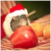 Vianočný potkaník